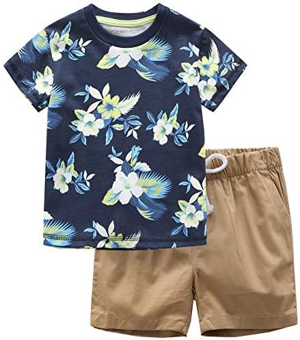 Frogwill Toddler Boys Summer Outfit Set 1
