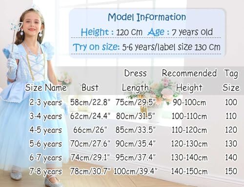 Luzlen Cinderella Costume for Girls with Accessories