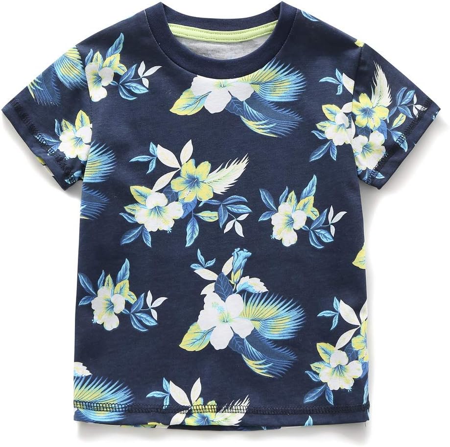 Frogwill Toddler Boys Summer Outfit Set 1